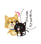 京都動物愛護センター 京ちゃん＆都ちゃん（個別スタンプ：5）