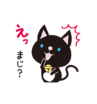 京都動物愛護センター 京ちゃん＆都ちゃん（個別スタンプ：6）