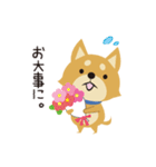 京都動物愛護センター 京ちゃん＆都ちゃん（個別スタンプ：9）