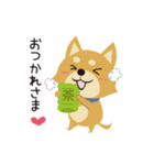 京都動物愛護センター 京ちゃん＆都ちゃん（個別スタンプ：11）