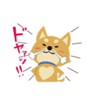 京都動物愛護センター 京ちゃん＆都ちゃん（個別スタンプ：15）