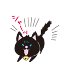 京都動物愛護センター 京ちゃん＆都ちゃん（個別スタンプ：17）