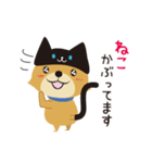 京都動物愛護センター 京ちゃん＆都ちゃん（個別スタンプ：19）