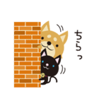 京都動物愛護センター 京ちゃん＆都ちゃん（個別スタンプ：26）