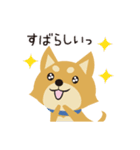 京都動物愛護センター 京ちゃん＆都ちゃん（個別スタンプ：28）