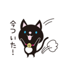 京都動物愛護センター 京ちゃん＆都ちゃん（個別スタンプ：32）