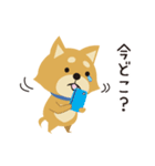 京都動物愛護センター 京ちゃん＆都ちゃん（個別スタンプ：33）