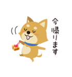 京都動物愛護センター 京ちゃん＆都ちゃん（個別スタンプ：38）