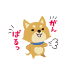 京都動物愛護センター 京ちゃん＆都ちゃん（個別スタンプ：40）