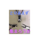 歯医者さんのイラストと写真スタンプ（個別スタンプ：3）