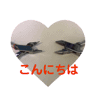 歯医者さんのイラストと写真スタンプ（個別スタンプ：7）