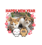 愛犬と猫2（個別スタンプ：5）