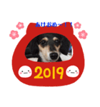 愛犬と猫2（個別スタンプ：8）