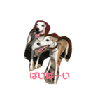 whippetレオン＆ディノ 第2弾（個別スタンプ：20）