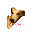 whippetレオン＆ディノ 第2弾（個別スタンプ：32）