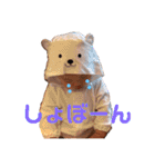 とんとんスタンプ 1（個別スタンプ：11）
