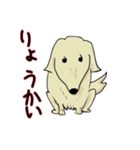 我家の愛犬 ベクオ スタンプ（個別スタンプ：1）