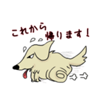 我家の愛犬 ベクオ スタンプ（個別スタンプ：3）