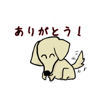 我家の愛犬 ベクオ スタンプ（個別スタンプ：5）