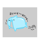 ぽっちゃりイルカ（個別スタンプ：5）