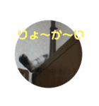 ぷるちゃん（個別スタンプ：4）