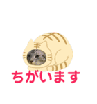 ぷるちゃん（個別スタンプ：24）