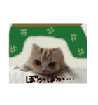 【激かわ♡】もふねこミルク（個別スタンプ：2）