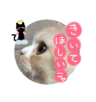 【激かわ♡】もふねこミルク（個別スタンプ：14）