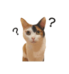 たまちゃんとあなごくんです（個別スタンプ：3）