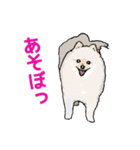 ぽめらんど《デビュー編》（個別スタンプ：5）
