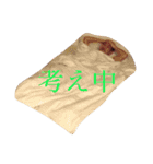 らいあらいあスタンプ（個別スタンプ：3）