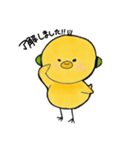ピヨヨ 1（個別スタンプ：1）