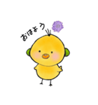 ピヨヨ 1（個別スタンプ：4）
