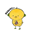 ピヨヨ 1（個別スタンプ：5）