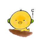 ピヨヨ 1（個別スタンプ：8）