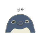 ゆるいペンギンさんとさかなさん（個別スタンプ：28）