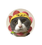 ベッカムにゃん（個別スタンプ：5）