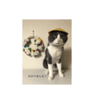 ベッカムにゃん（個別スタンプ：6）