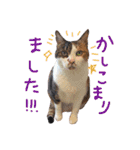くくるhairのスタンプ（個別スタンプ：25）