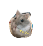 表情豊かなハムスターのこたろう（個別スタンプ：18）