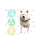 はくくんのスタンプ（個別スタンプ：1）