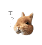 桃尻桃ほっぺの桃様（個別スタンプ：1）