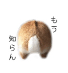 桃尻桃ほっぺの桃様（個別スタンプ：12）