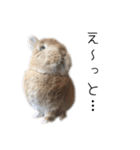 桃尻桃ほっぺの桃様（個別スタンプ：28）