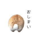 桃尻桃ほっぺの桃様（個別スタンプ：40）