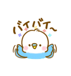 インコちゃん、いろいろスタンプ（個別スタンプ：36）