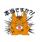茶トラになりたい（個別スタンプ：3）