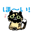 クールなサビ猫ビビ（個別スタンプ：2）