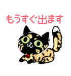 クールなサビ猫ビビ（個別スタンプ：13）