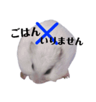 豆子ちゃんの使えそうなスタンプ（個別スタンプ：4）